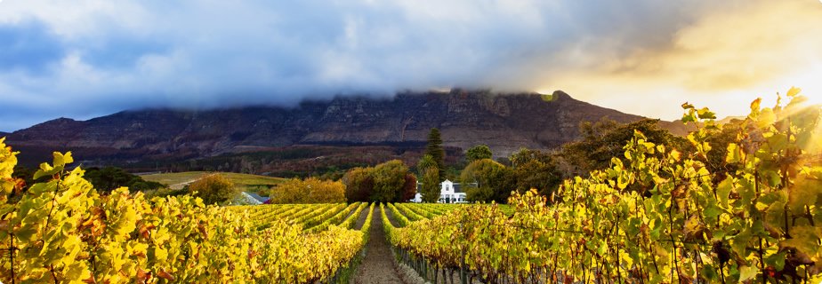 Winelands
